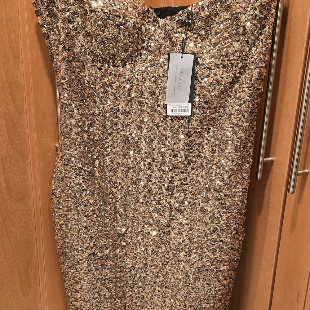 NWT - Never Worn/Smoke/Pet Free NADINE MERABI Nina Dress (Price Firm/No Trades)